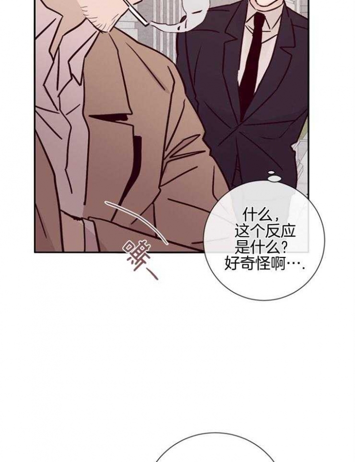 《马尔赛》漫画最新章节第46话免费下拉式在线观看章节第【20】张图片