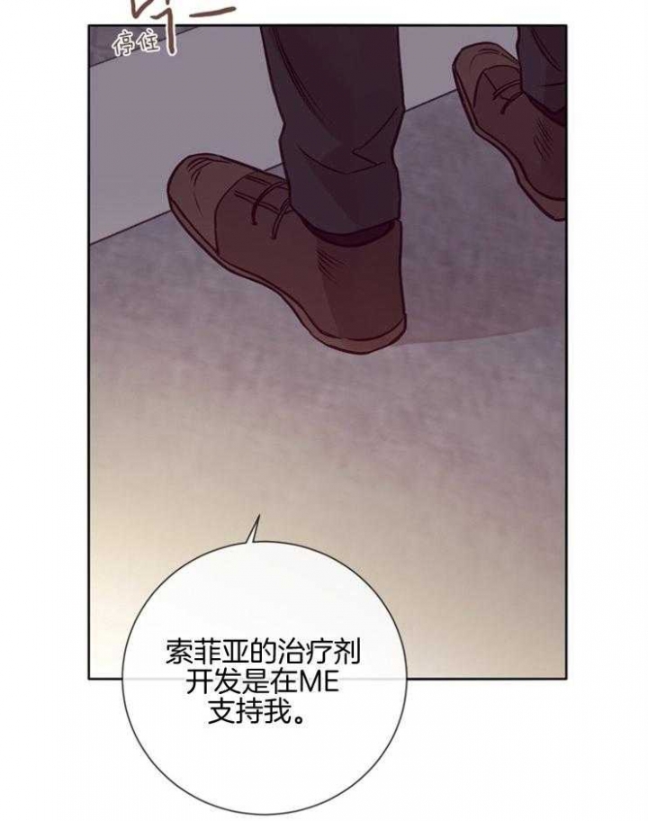 《马尔赛》漫画最新章节第36话免费下拉式在线观看章节第【29】张图片