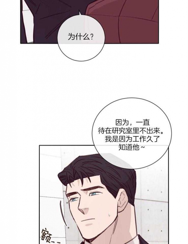 《马尔赛》漫画最新章节第19话免费下拉式在线观看章节第【13】张图片