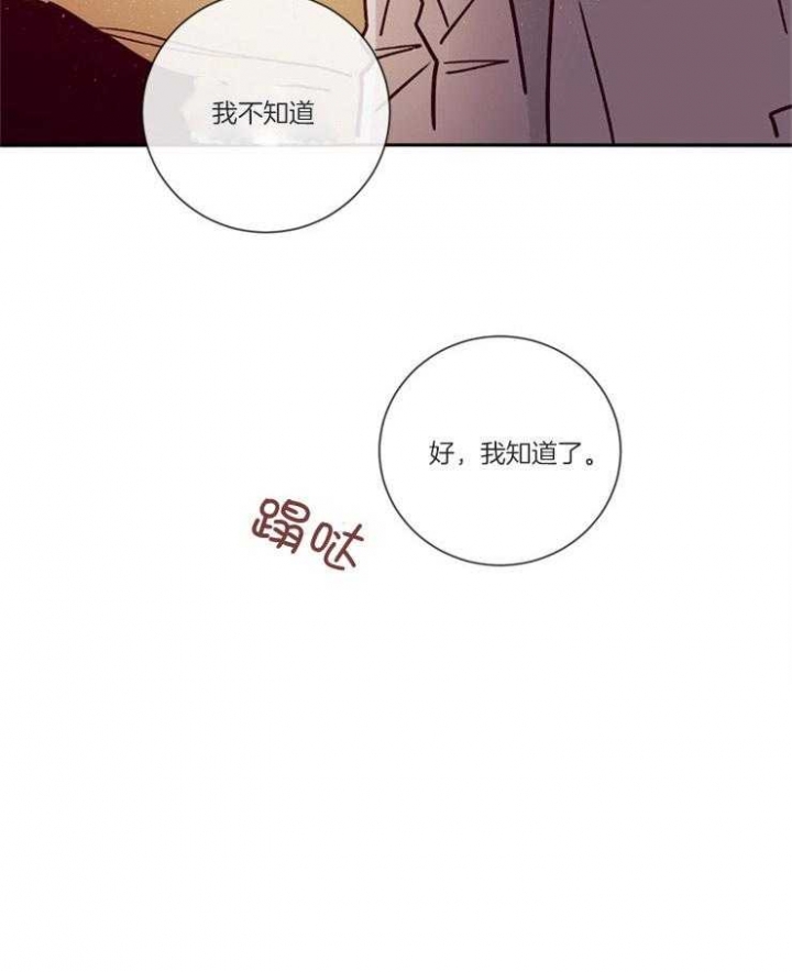 《马尔赛》漫画最新章节第48话免费下拉式在线观看章节第【43】张图片