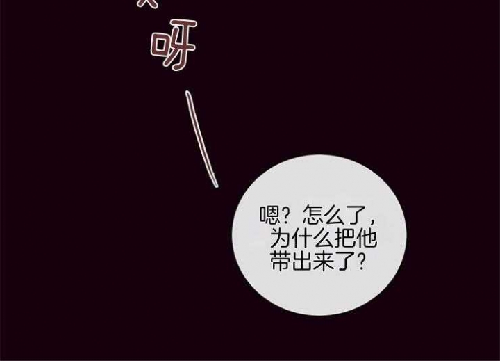 《马尔赛》漫画最新章节第28话免费下拉式在线观看章节第【2】张图片