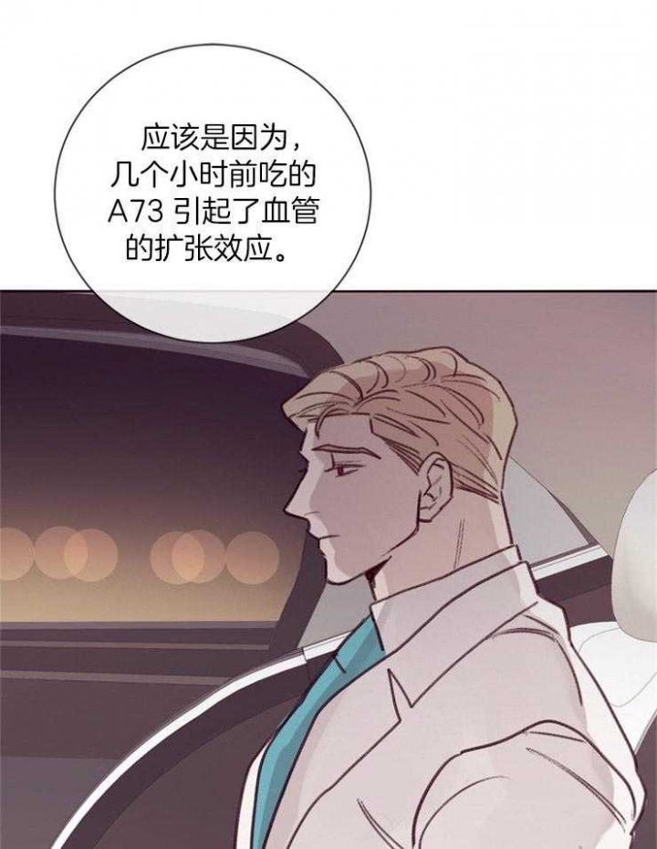 《马尔赛》漫画最新章节第16话免费下拉式在线观看章节第【36】张图片