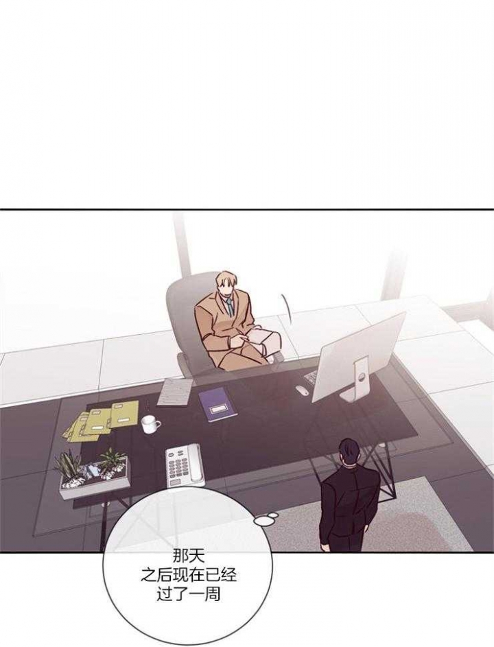 《马尔赛》漫画最新章节第33话免费下拉式在线观看章节第【16】张图片