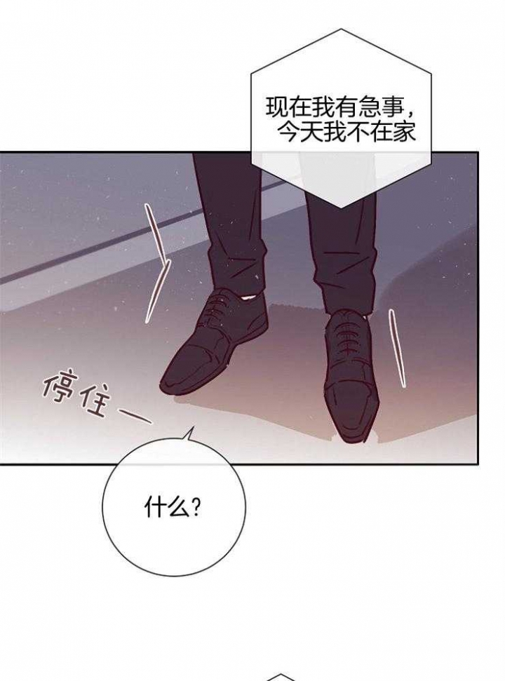 《马尔赛》漫画最新章节第52话免费下拉式在线观看章节第【4】张图片