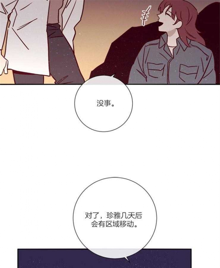 《马尔赛》漫画最新章节第48话免费下拉式在线观看章节第【37】张图片