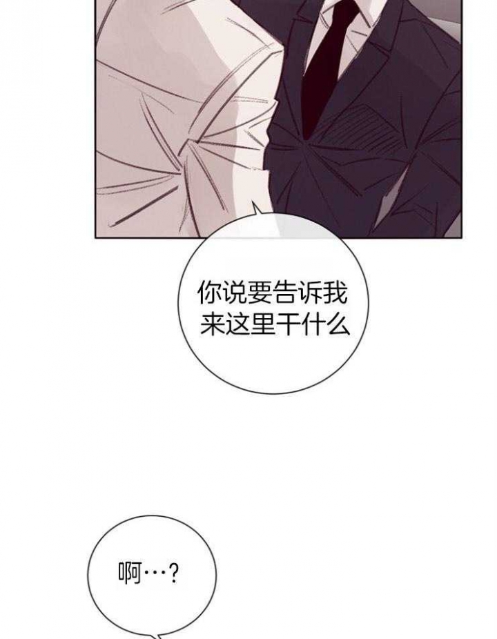 《马尔赛》漫画最新章节第11话免费下拉式在线观看章节第【21】张图片