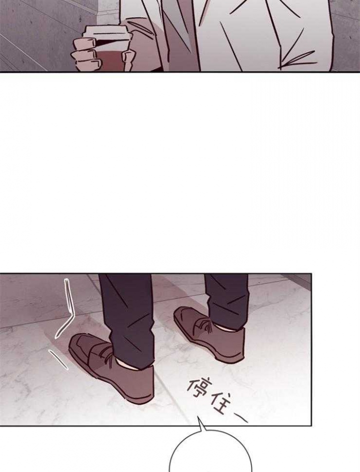 《马尔赛》漫画最新章节第47话免费下拉式在线观看章节第【5】张图片