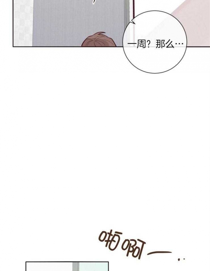 《马尔赛》漫画最新章节第16话免费下拉式在线观看章节第【28】张图片