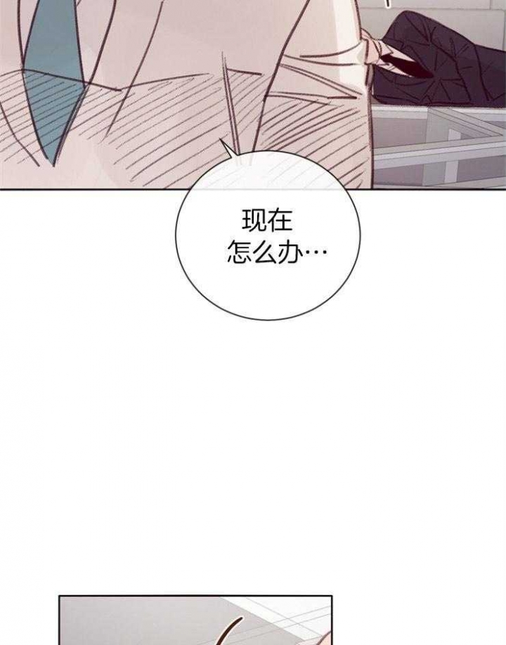 《马尔赛》漫画最新章节第13话免费下拉式在线观看章节第【12】张图片