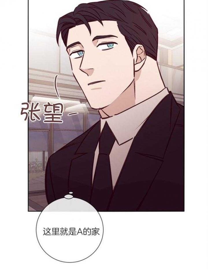 《马尔赛》漫画最新章节第40话免费下拉式在线观看章节第【4】张图片