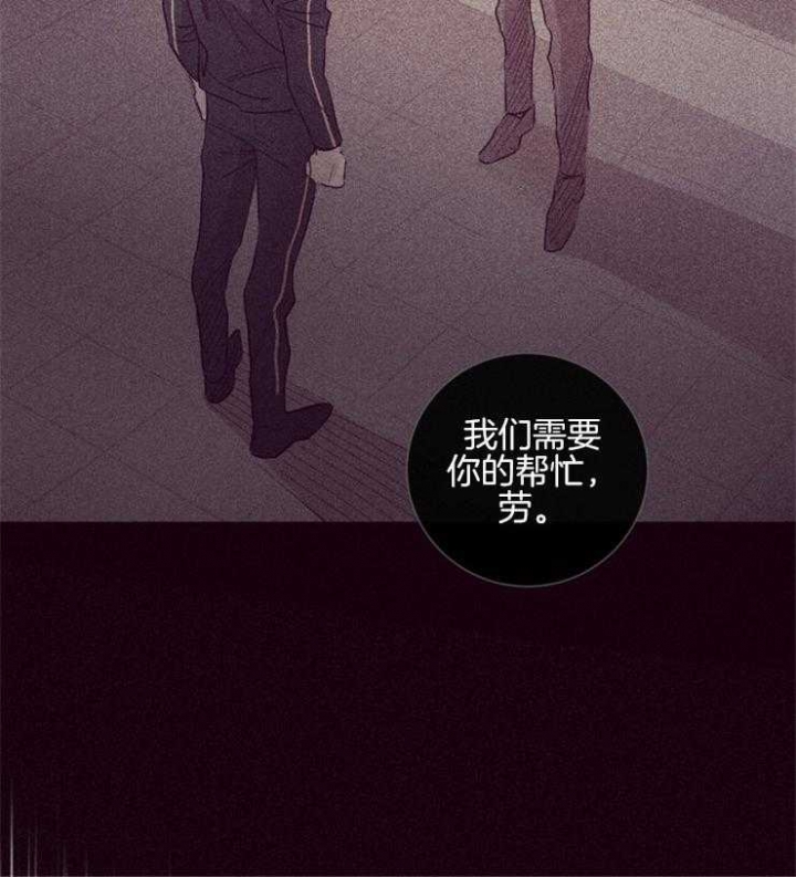 《马尔赛》漫画最新章节第48话免费下拉式在线观看章节第【5】张图片