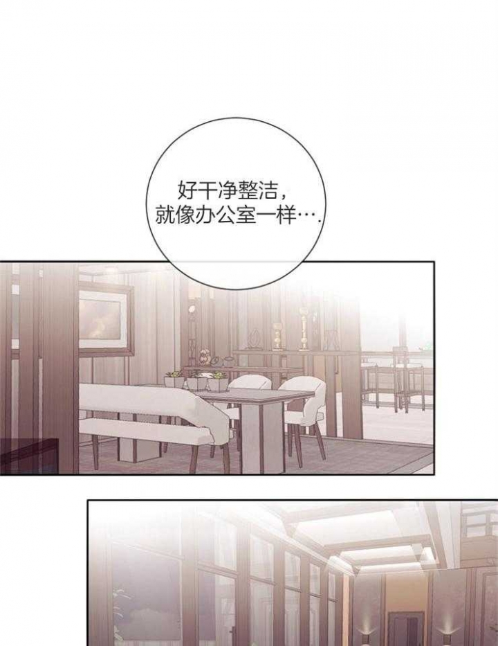 《马尔赛》漫画最新章节第40话免费下拉式在线观看章节第【5】张图片