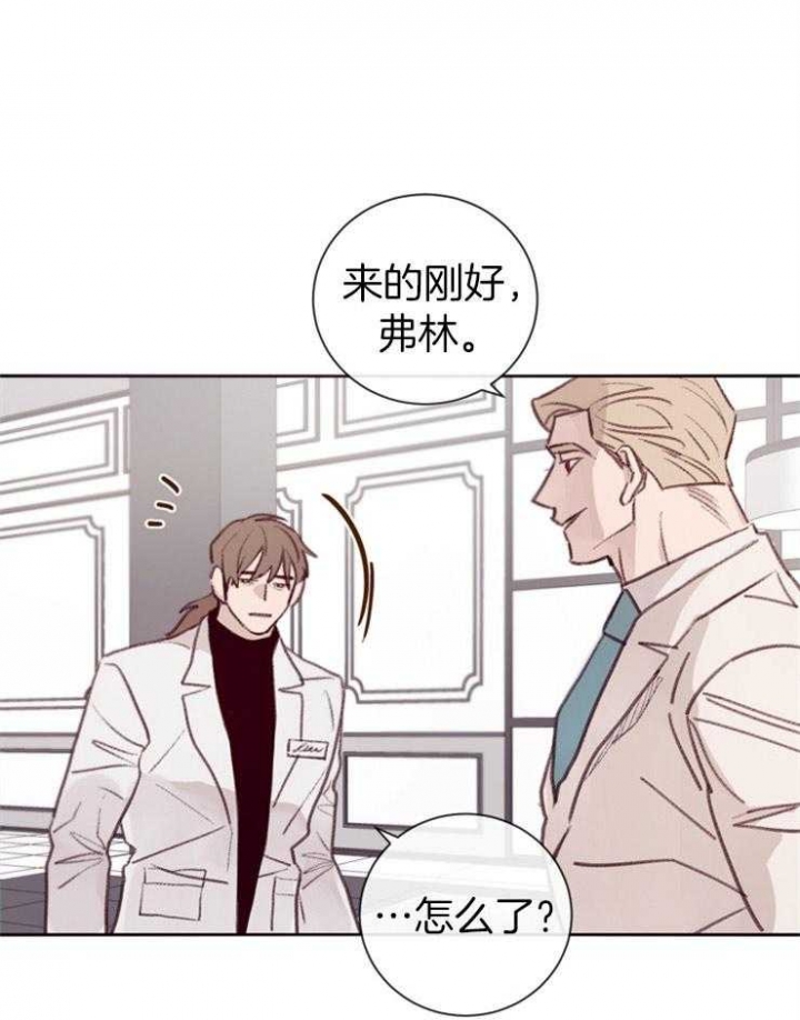 《马尔赛》漫画最新章节第13话免费下拉式在线观看章节第【20】张图片