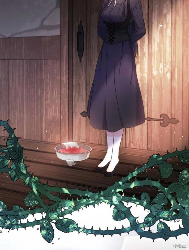 《施登的公主》漫画最新章节第0话免费下拉式在线观看章节第【47】张图片