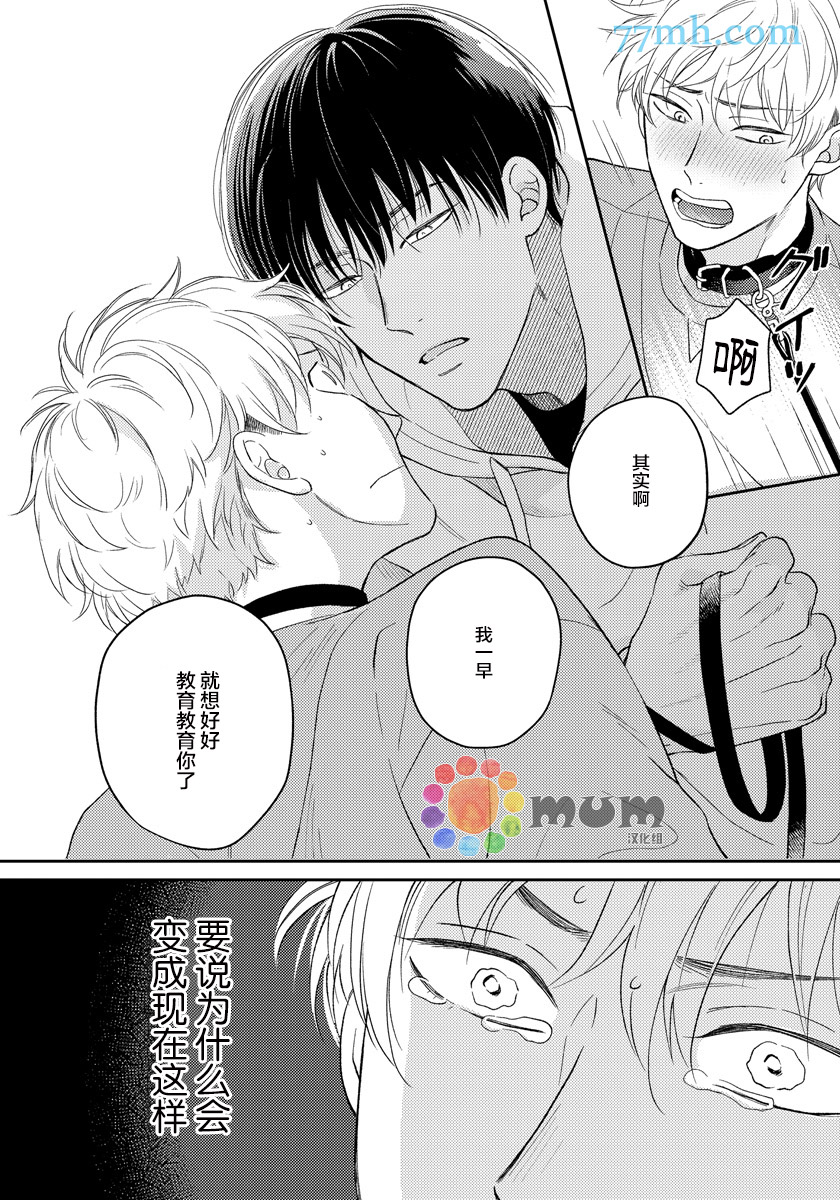 《Sugar & Mustard》漫画最新章节番外3免费下拉式在线观看章节第【3】张图片