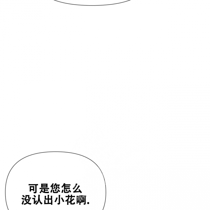 《夜叉演化记》漫画最新章节第38话免费下拉式在线观看章节第【62】张图片