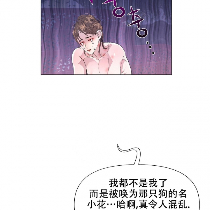 《夜叉演化记》漫画最新章节第16话免费下拉式在线观看章节第【29】张图片