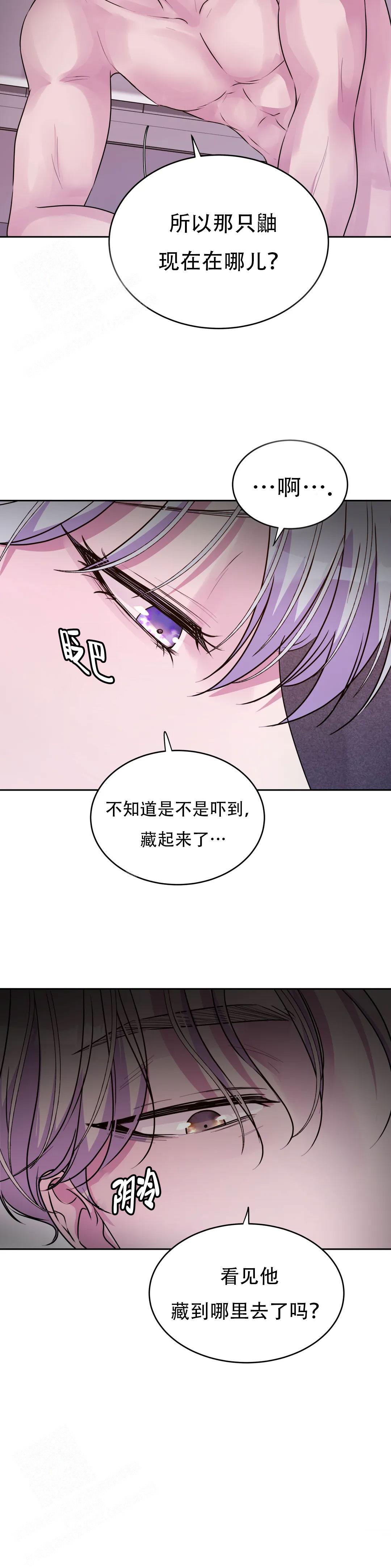 《曙光》漫画最新章节第28话免费下拉式在线观看章节第【6】张图片