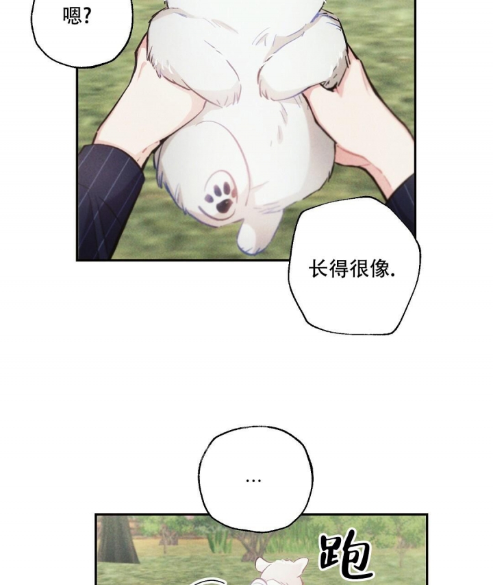 《疾风骤雨(第I+II季)》漫画最新章节第81话免费下拉式在线观看章节第【39】张图片