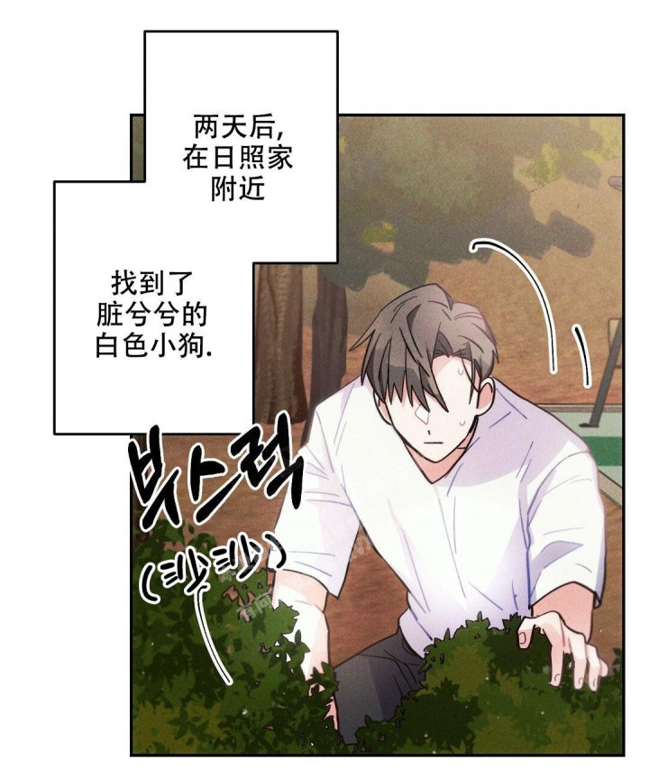 《疾风骤雨(第I+II季)》漫画最新章节第96话免费下拉式在线观看章节第【20】张图片