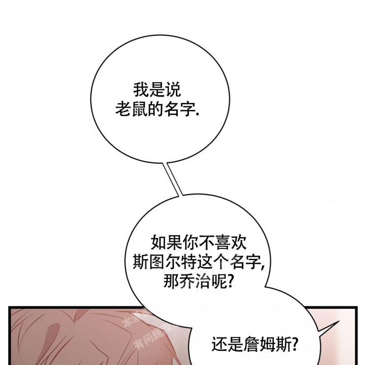 《坏蛋警告(第一季完结)》漫画最新章节第24话免费下拉式在线观看章节第【21】张图片