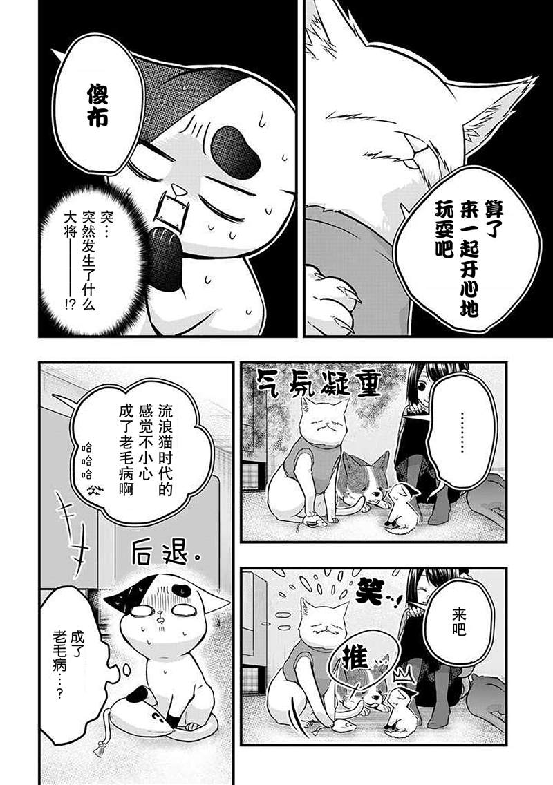 《被遗弃的小猫咪与原黑道》漫画最新章节第22话免费下拉式在线观看章节第【2】张图片