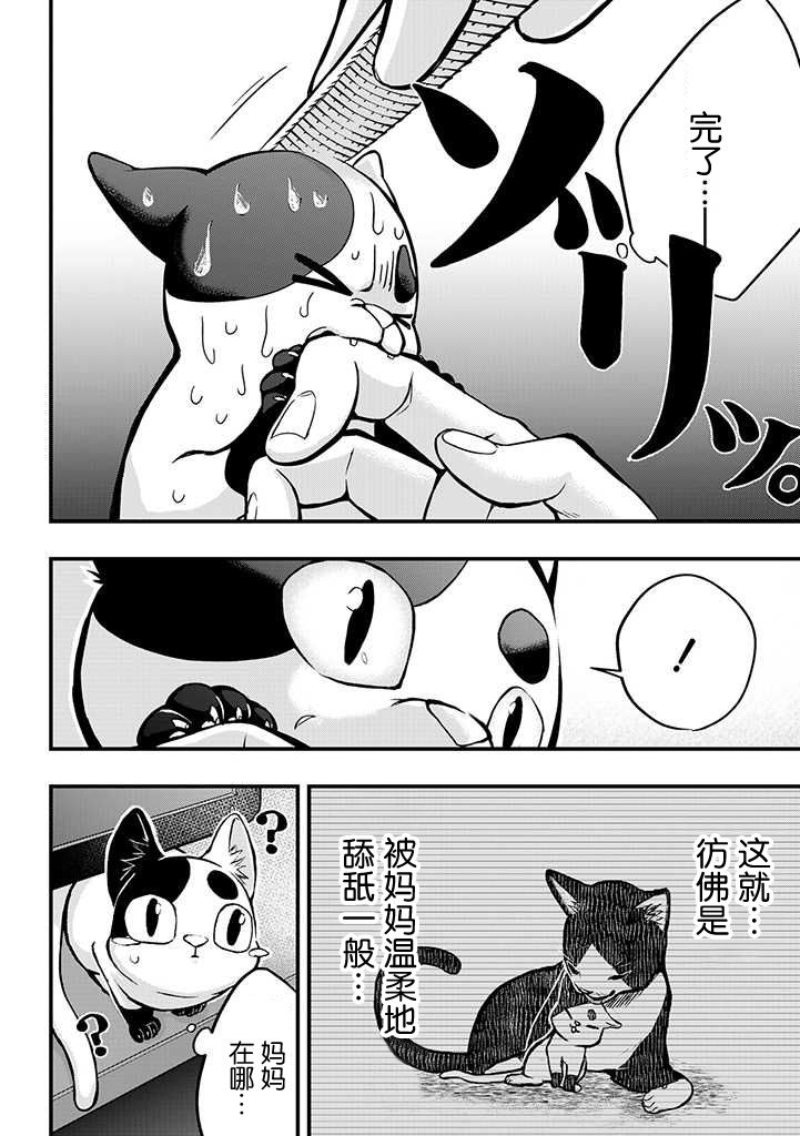 《被遗弃的小猫咪与原黑道》漫画最新章节第3话免费下拉式在线观看章节第【10】张图片