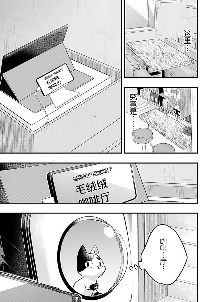 《被遗弃的小猫咪与原黑道》漫画最新章节第8话免费下拉式在线观看章节第【3】张图片