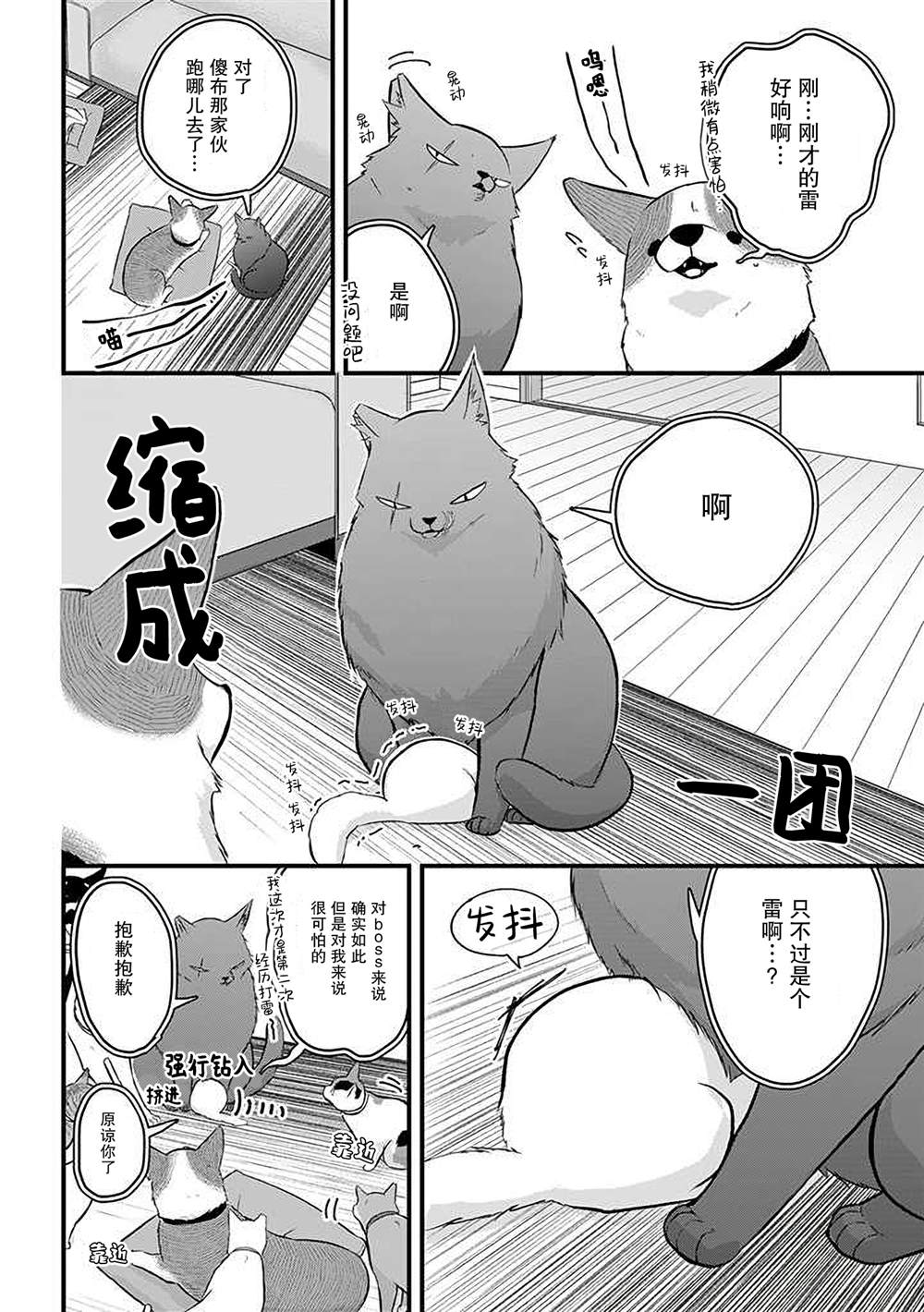 《被遗弃的小猫咪与原黑道》漫画最新章节第40话免费下拉式在线观看章节第【2】张图片