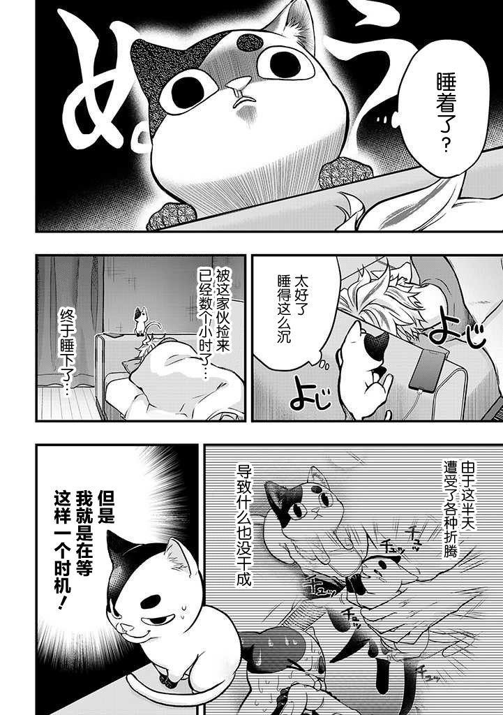 《被遗弃的小猫咪与原黑道》漫画最新章节第3话免费下拉式在线观看章节第【3】张图片