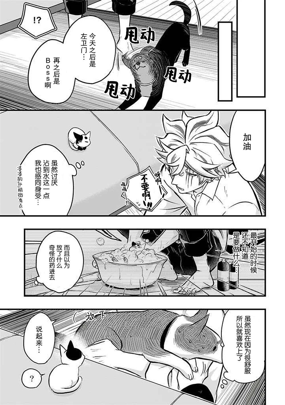 《被遗弃的小猫咪与原黑道》漫画最新章节第39话免费下拉式在线观看章节第【11】张图片