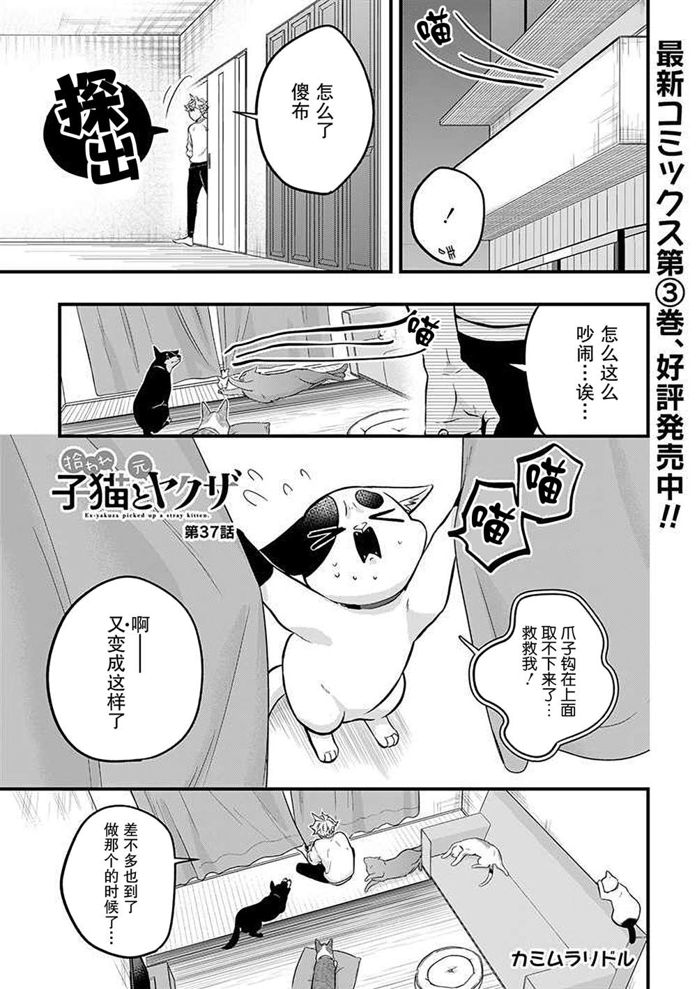 《被遗弃的小猫咪与原黑道》漫画最新章节第37话免费下拉式在线观看章节第【1】张图片