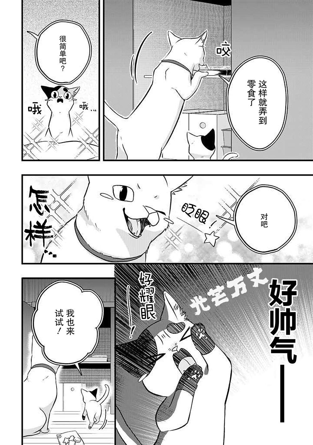 《被遗弃的小猫咪与原黑道》漫画最新章节第26话免费下拉式在线观看章节第【8】张图片