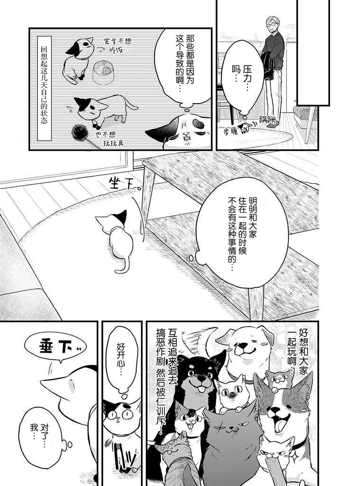 《被遗弃的小猫咪与原黑道》漫画最新章节第43话免费下拉式在线观看章节第【3】张图片