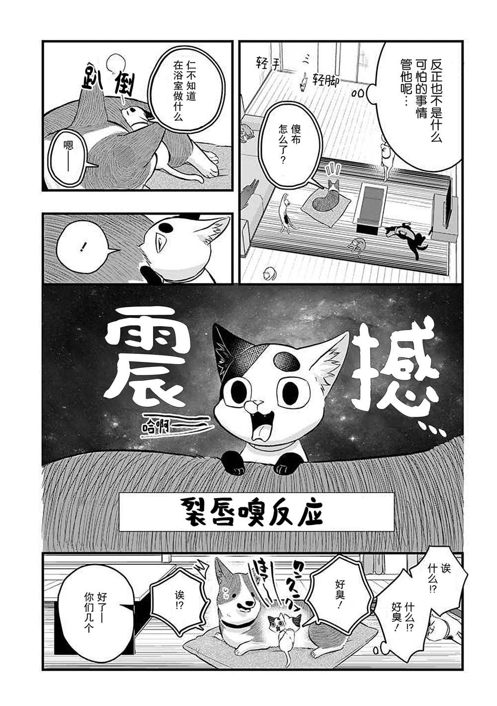 《被遗弃的小猫咪与原黑道》漫画最新章节第39话免费下拉式在线观看章节第【3】张图片