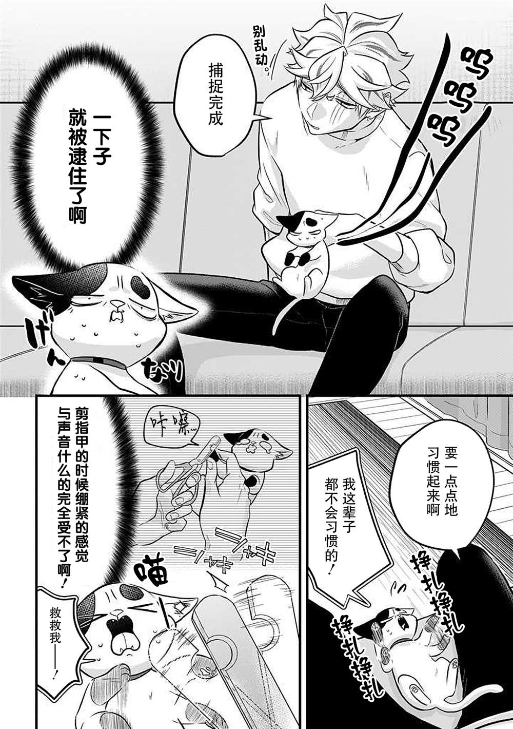 《被遗弃的小猫咪与原黑道》漫画最新章节第37话免费下拉式在线观看章节第【4】张图片