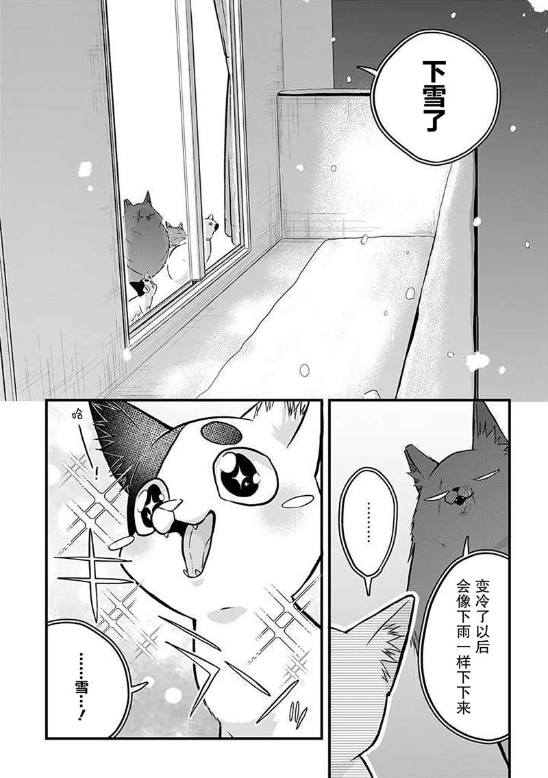 《被遗弃的小猫咪与原黑道》漫画最新章节第33话免费下拉式在线观看章节第【3】张图片