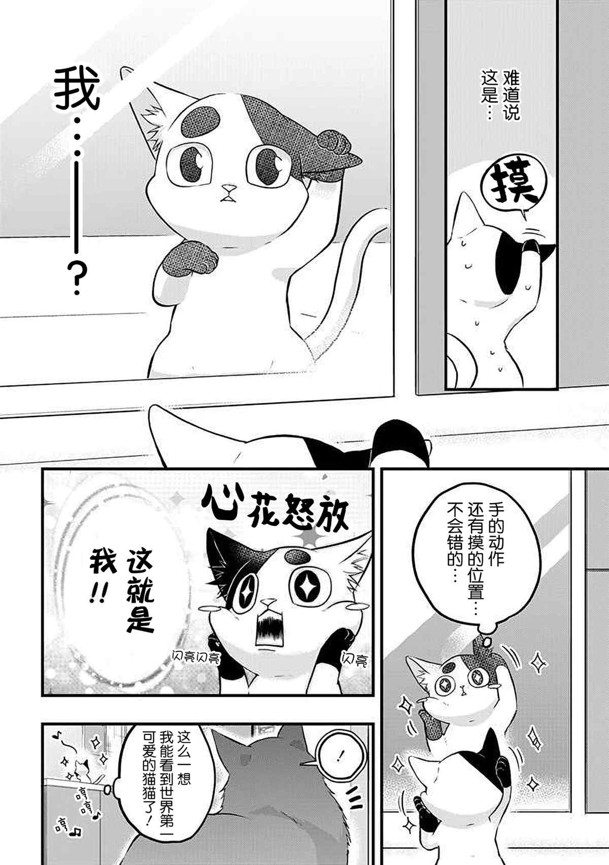 《被遗弃的小猫咪与原黑道》漫画最新章节第29话免费下拉式在线观看章节第【4】张图片