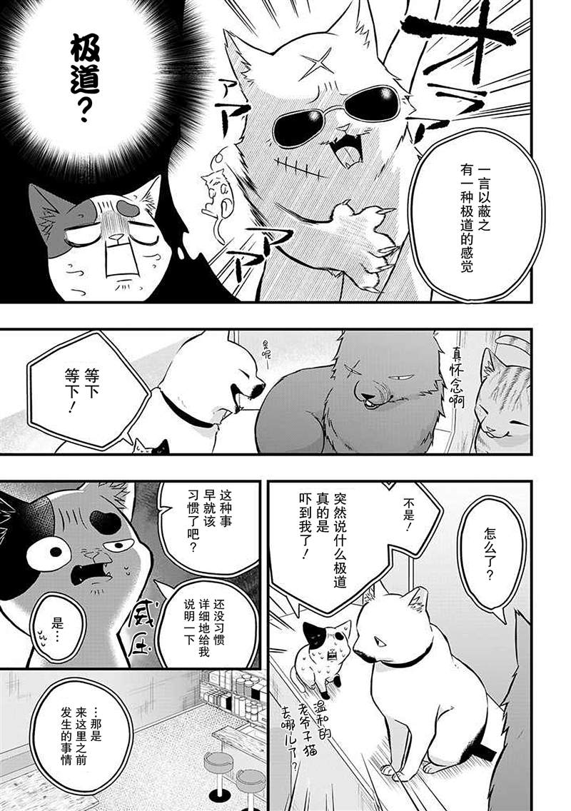 《被遗弃的小猫咪与原黑道》漫画最新章节第20话免费下拉式在线观看章节第【5】张图片