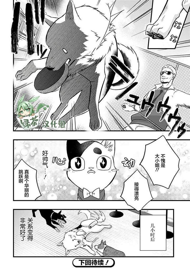 《被遗弃的小猫咪与原黑道》漫画最新章节第19话免费下拉式在线观看章节第【10】张图片