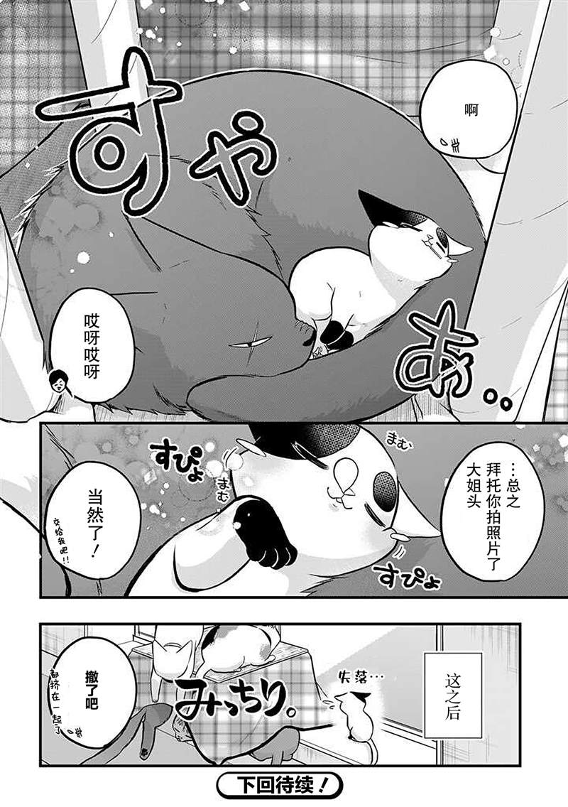 《被遗弃的小猫咪与原黑道》漫画最新章节第33话免费下拉式在线观看章节第【12】张图片