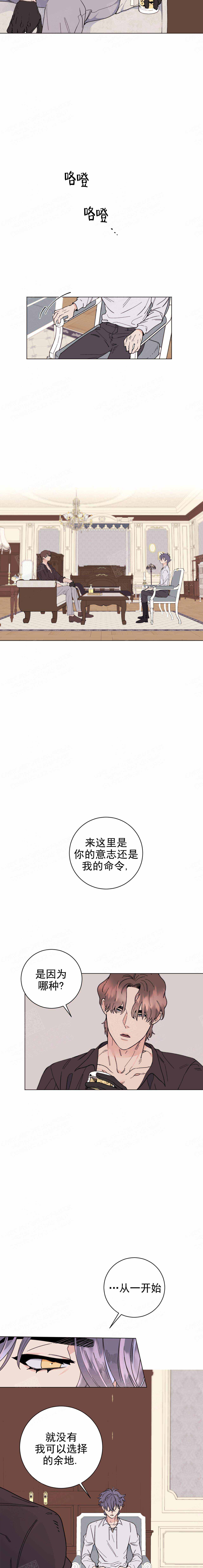 《宠爱主人》漫画最新章节第11话免费下拉式在线观看章节第【2】张图片