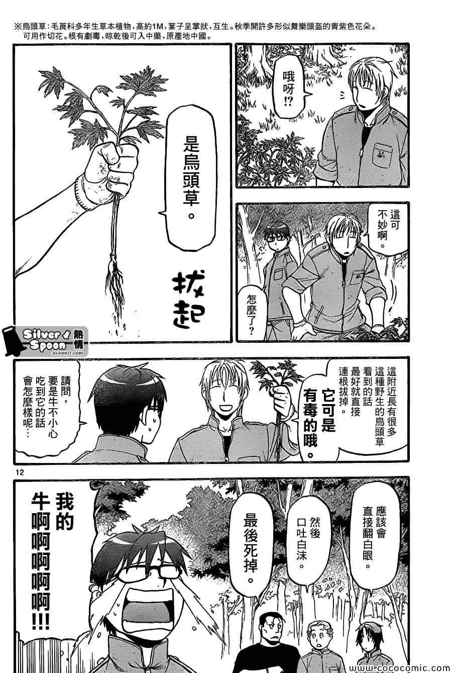 《白银之匙》漫画最新章节第99话 四季之卷②免费下拉式在线观看章节第【12】张图片