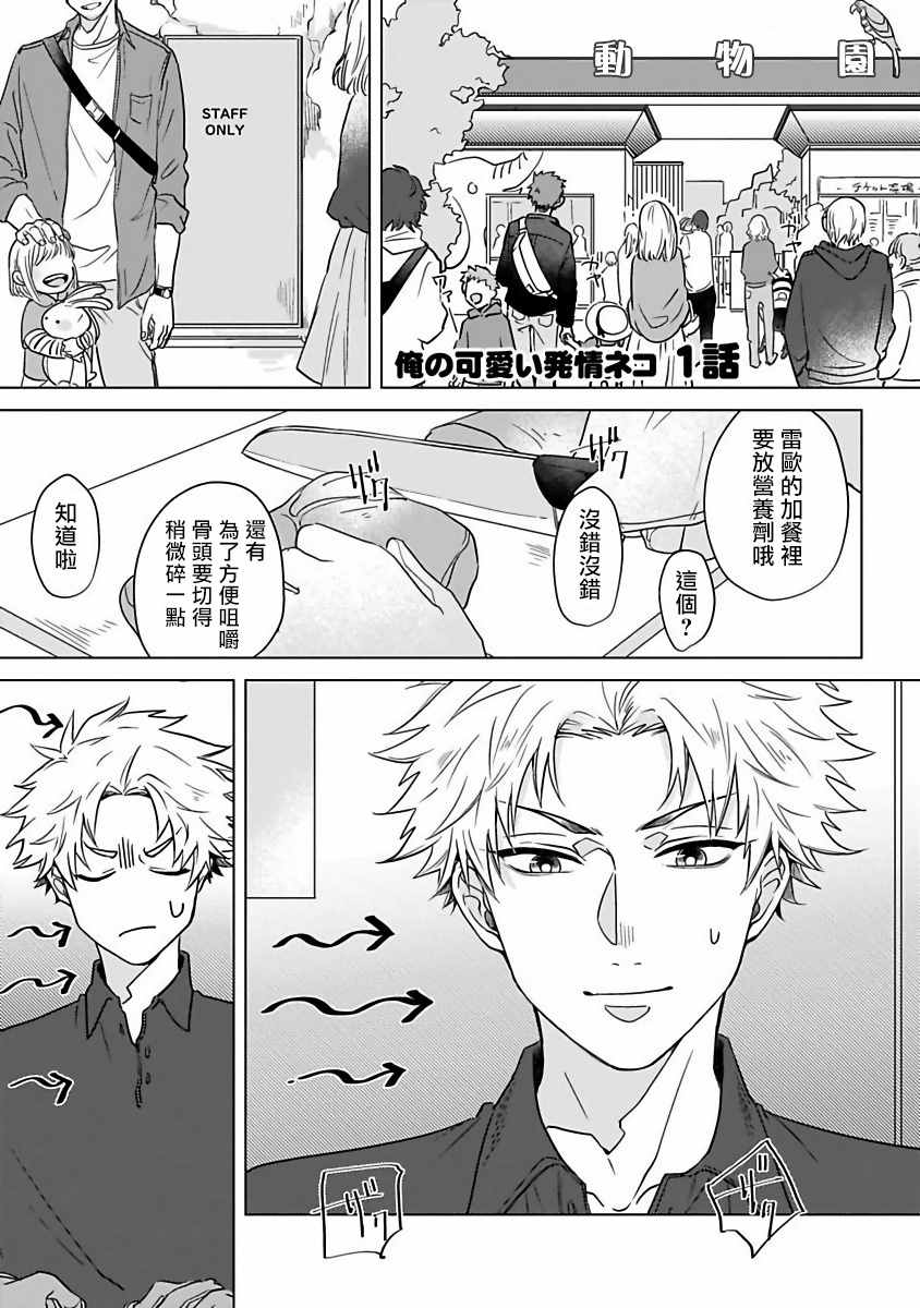 《猫头鹰的相思病》漫画最新章节第4话免费下拉式在线观看章节第【1】张图片