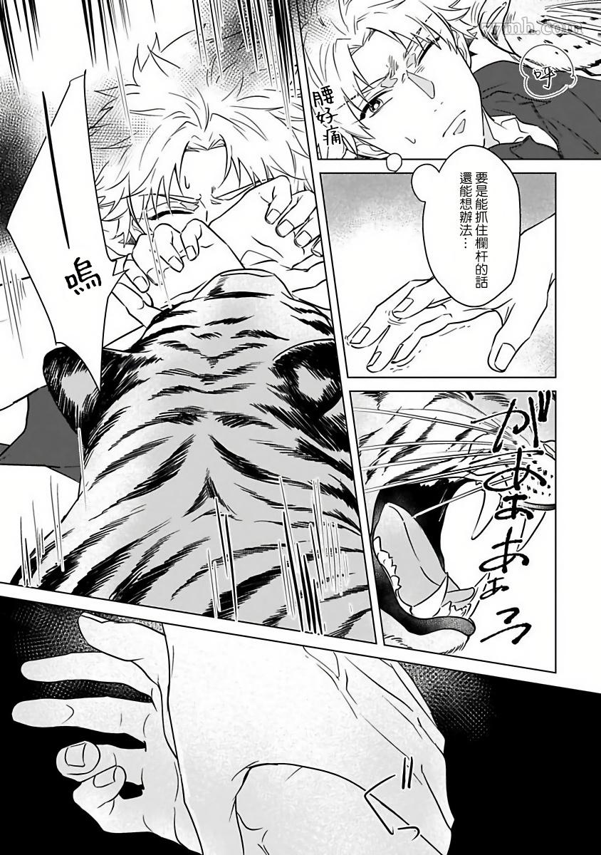 《猫头鹰的相思病》漫画最新章节第5话免费下拉式在线观看章节第【13】张图片