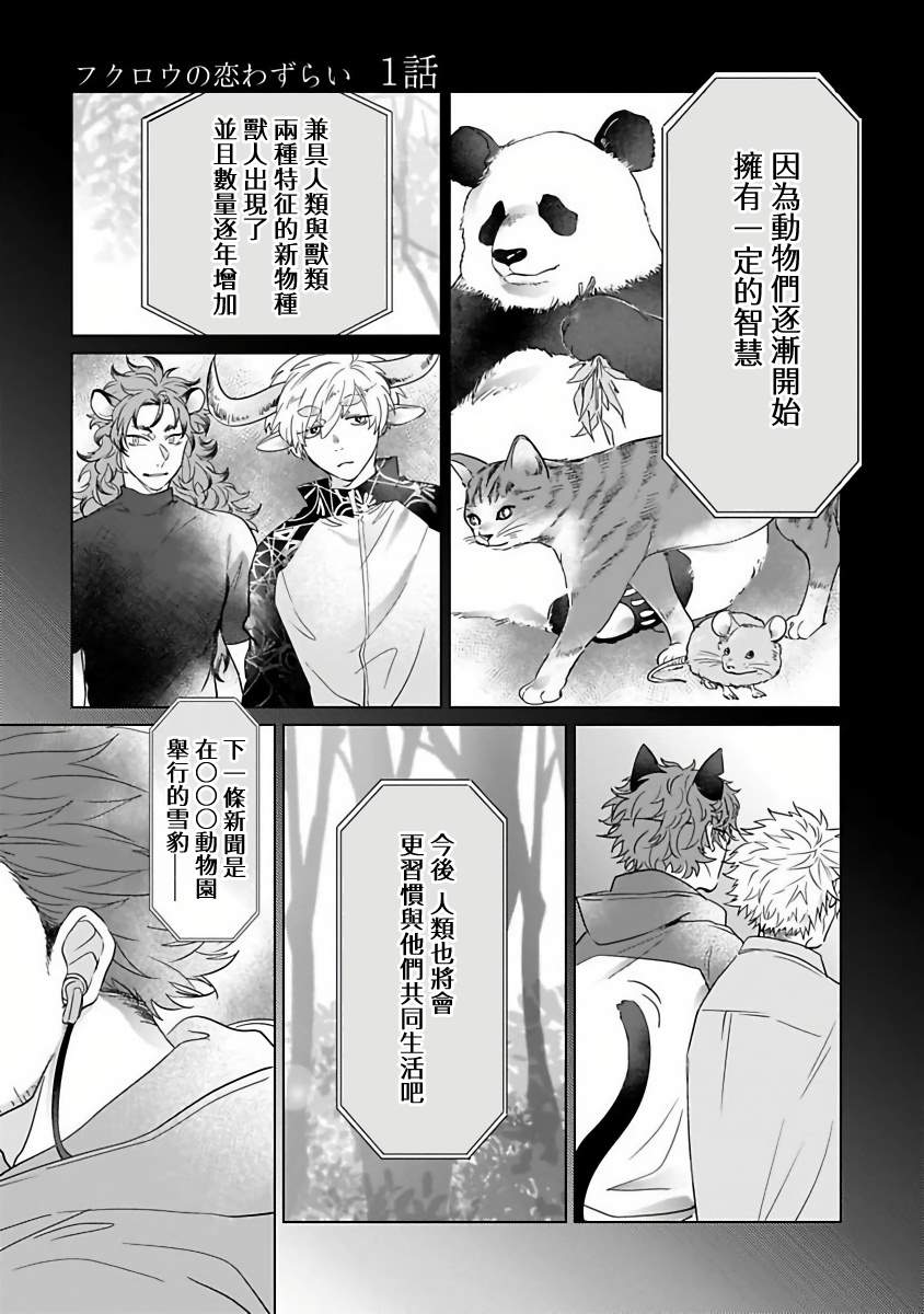 《猫头鹰的相思病》漫画最新章节第1话免费下拉式在线观看章节第【5】张图片