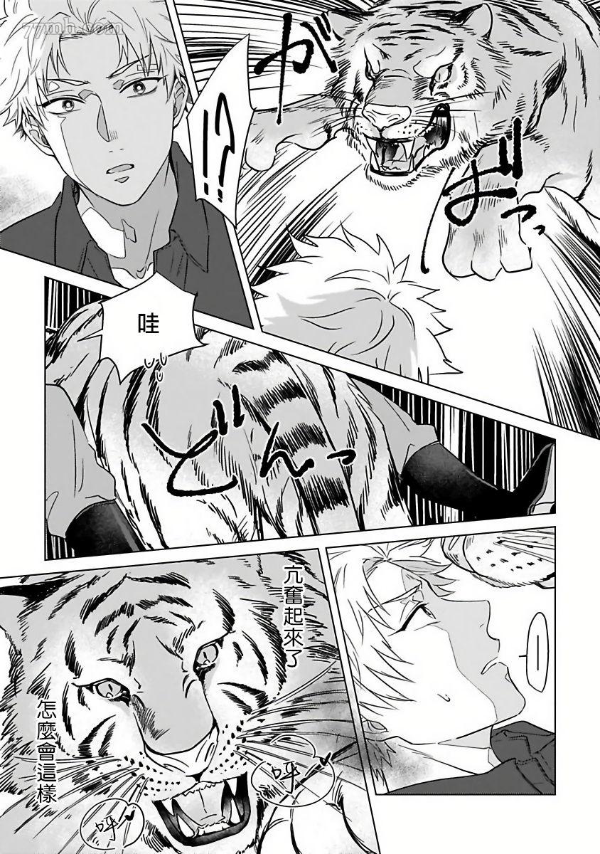 《猫头鹰的相思病》漫画最新章节第5话免费下拉式在线观看章节第【11】张图片