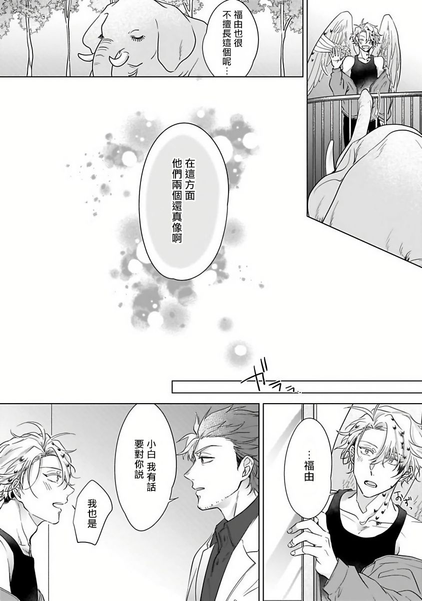 《猫头鹰的相思病》漫画最新章节第3话免费下拉式在线观看章节第【13】张图片