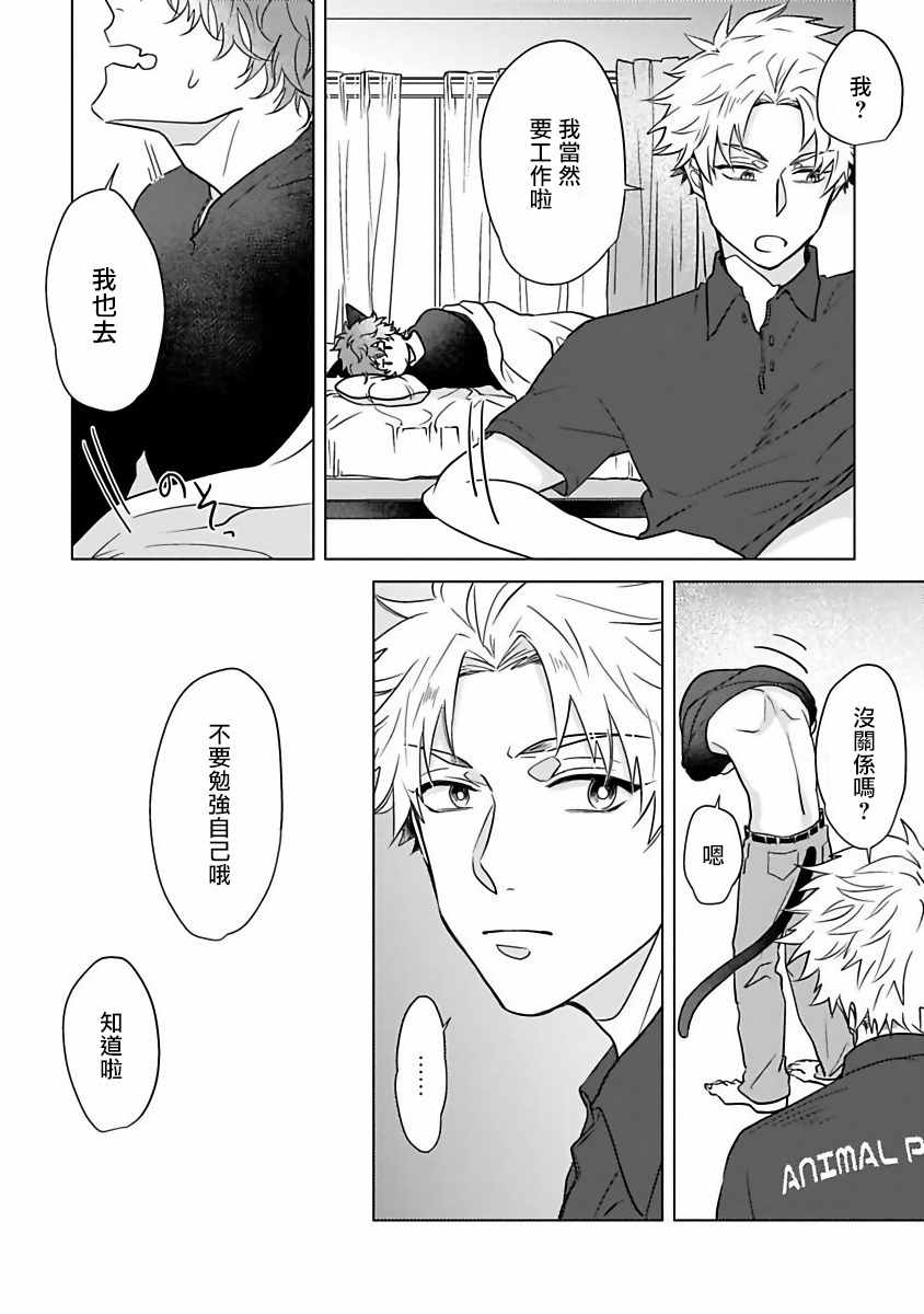 《猫头鹰的相思病》漫画最新章节第4话免费下拉式在线观看章节第【13】张图片