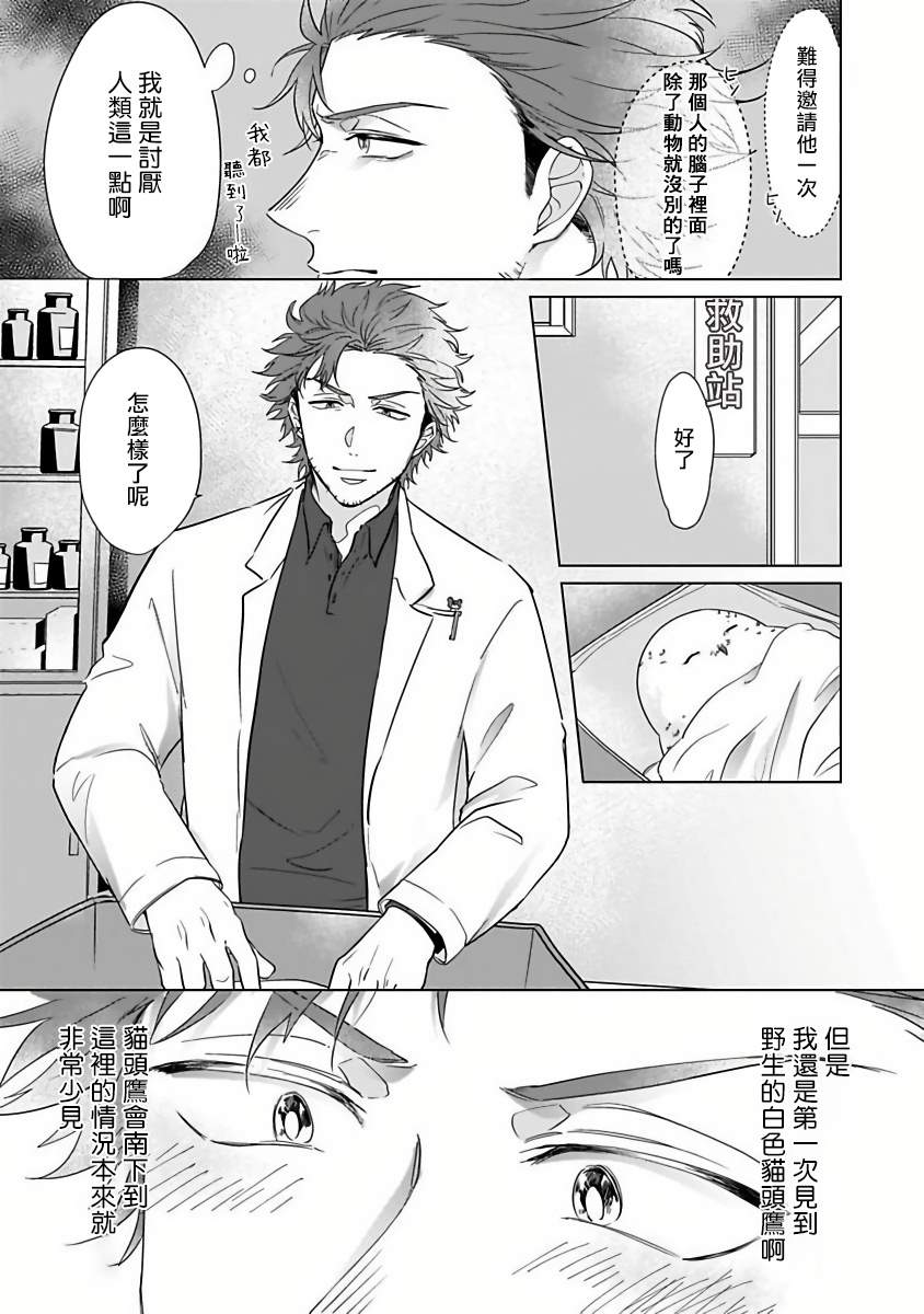 《猫头鹰的相思病》漫画最新章节第1话免费下拉式在线观看章节第【11】张图片